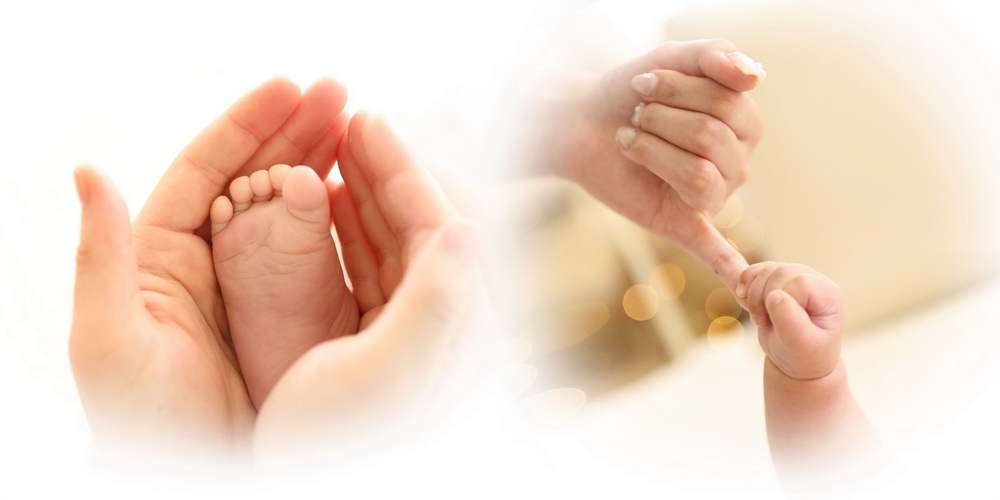 コラム：お雛様の≪桃の節句≫と兜の≪端午の節句≫